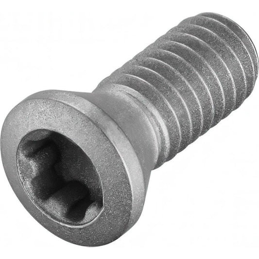 Walter 5589821 Screw for Indexables Torx Plus Drive