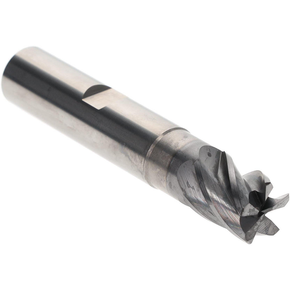 Accupro 95172627 Corner Radius End Mill 5/8" Dia, 3/4" LOC, 0.0300" Radius, 5 Flute, Solid Carbide