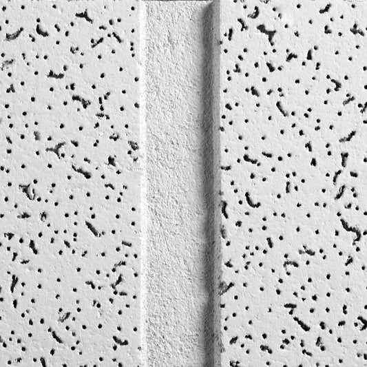 Armstrong World 2767DN CORTEGA Second Look 24 in x 48 in x 3/4 in Ceiling Tile, White