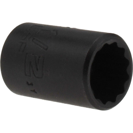 Proto J5216B Hand Socket 1/2" Socket, 12-Point